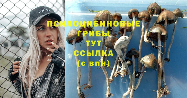 дмт Белоозёрский