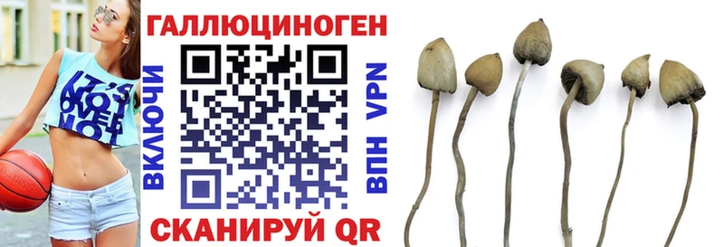 Галлюциногенные грибы MAGIC MUSHROOMS  Кодинск 